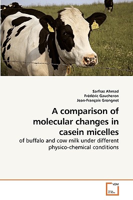 A comparison of molecular changes in             casein micelles