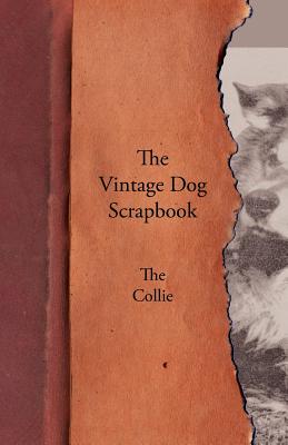 The Vintage Dog Scrapbook - The Collie