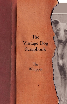 The Vintage Dog Scrapbook - The Whippet