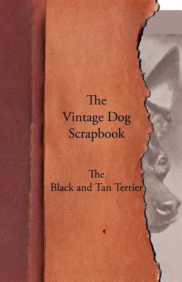 The Vintage Dog Scrapbook - The Black and Tan Terrier