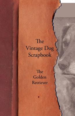 The Vintage Dog Scrapbook - The Golden Retriever