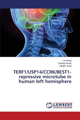 TERF1/USP14/CCRK/BEST1-repressive microtube in human left hemisphere