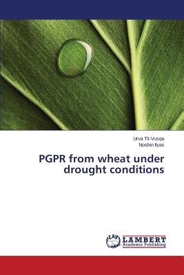 PGPR from wheat under drought conditions