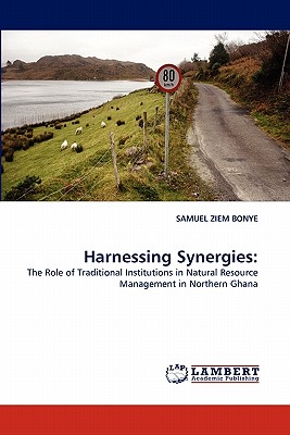 غلاف كتاب Harnessing Synergies: