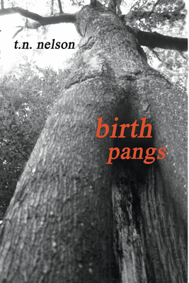 غلاف كتاب Birth Pangs