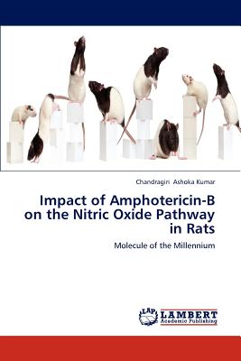 Impact of Amphotericin-B on the Nitric Oxide Pathway in Rats