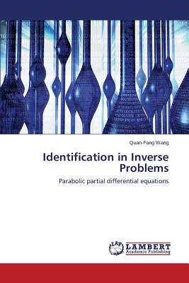 Identification in Inverse Problems