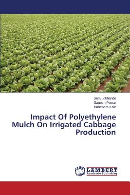 Impact Of Polyethylene Mulch On Irrigated Cabbage Production