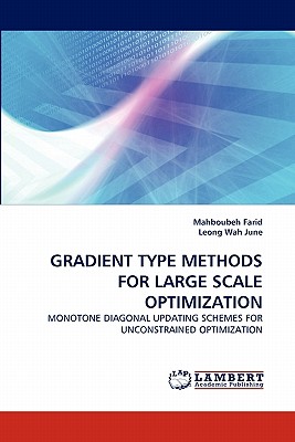 GRADIENT TYPE METHODS FOR LARGE SCALE OPTIMIZATION