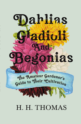 Dahlias, Gladioli and Begonias: The Amateur Gardener