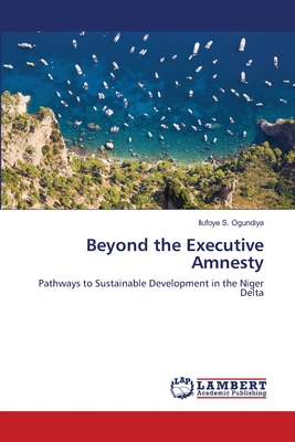 Beyond the Executive Amnesty