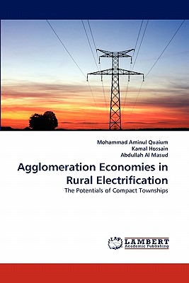 Agglomeration Economies in Rural Electrification