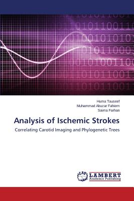 Analysis of Ischemic Strokes