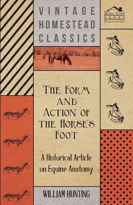 The Form and Action of the Horse