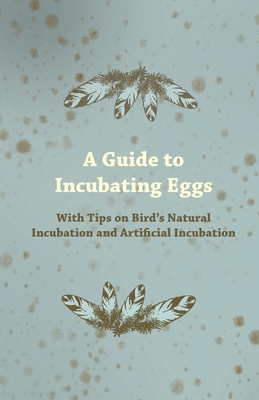 A Guide to Incubating Eggs - With Tips on Bird