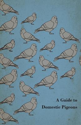A Guide to Domestic Pigeons - With Chapters on Doves, Training and Their Habits