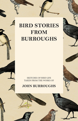 Bird Stories from Burroughs - Sketches of Bird Life Taken from the Works of John Burroughs