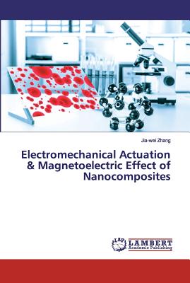 Multi-functional Nanocomposites for the Energy Conversion