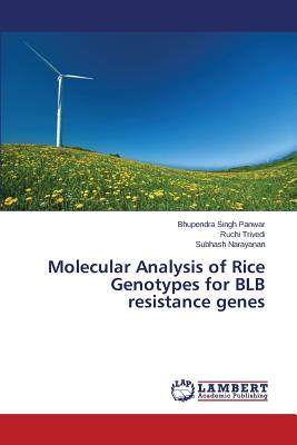 Molecular Analysis of Rice Genotypes for BLB resistance genes