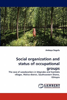 غلاف كتاب Social Organization and Status of Occupational Groups