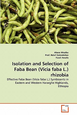 Isolation and Selection of Faba Bean (Vicia faba L.) rhizobia