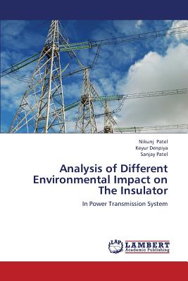 Analysis of Different Environmental Impact on the Insulator