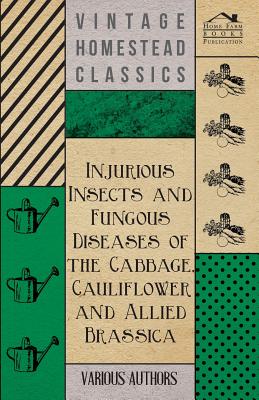 Injurious Insects and Fungous Diseases of the Cabbage, Cauliflower and Allied Brassica