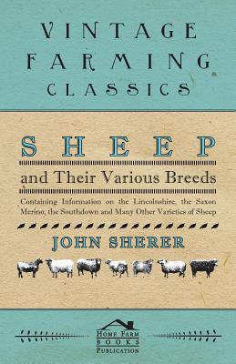 Sheep and Their Various Breeds - Containing Information on the Lincolnshire, the Saxon Merino, the Southdown and Many Other Varieties of Sheep