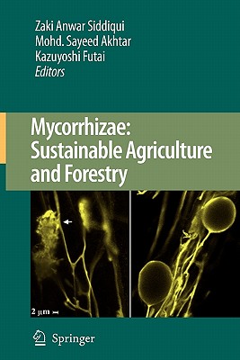 Mycorrhizae: Sustainable Agriculture and Forestry