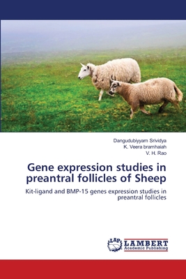 Gene expression studies in preantral follicles of Sheep