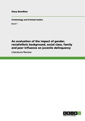 غلاف كتاب An evaluation of the impact of gender, racial/ethnic background, social class, family and peer influence on juvenile delinquency