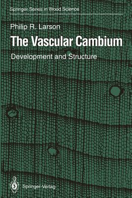 The Vascular Cambium : Development and Structure