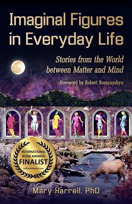 Imaginal Figures In Everyday Life: Stories from The World Between Matter And Mind