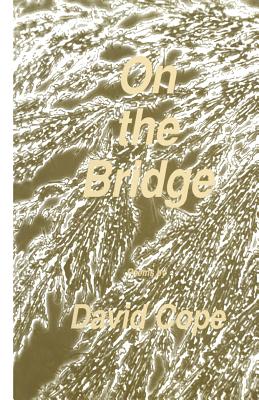 غلاف كتاب On the Bridge
