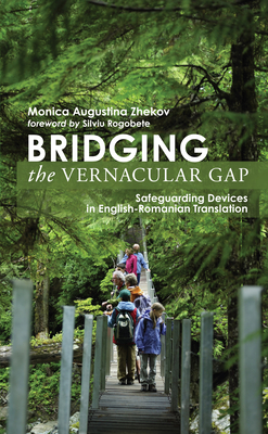 Bridging the Vernacular Gap: Safeguarding Devices in English-Romanian Translation