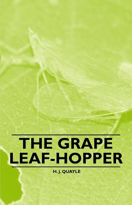 The Grape Leaf-Hopper