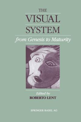 The Visual System from Genesis to Maturity