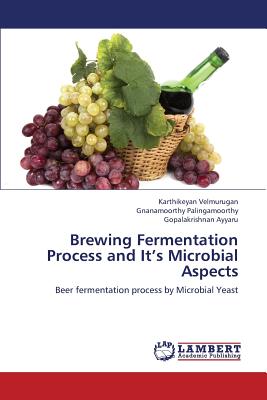 Brewing Fermentation Process and It