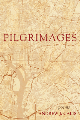 غلاف كتاب Pilgrimages