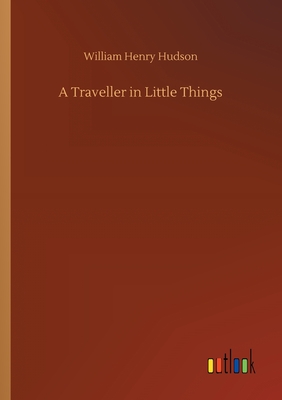 A Traveller in Little Things