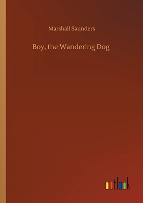 Boy, the Wandering Dog