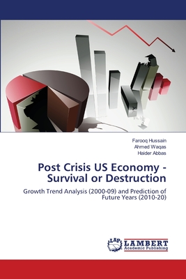 Post Crisis US Economy - Survival or Destruction