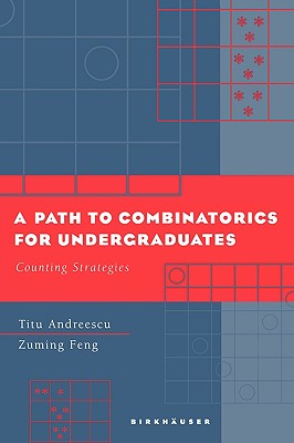 A Path to Combinatorics for Undergraduates : Counting Strategies