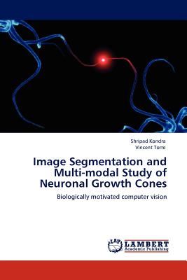 Image Segmentation and Multi-modal Study of Neuronal Growth Cones