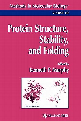 Protein Structure, Stability, and Folding