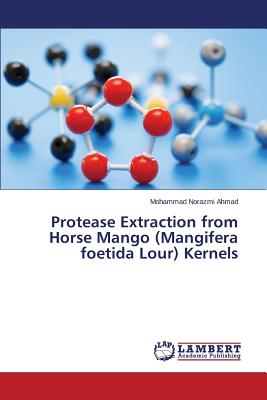 Protease Extraction from Horse Mango (Mangifera foetida Lour) Kernels