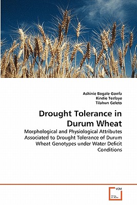 Drought Tolerance in Durum Wheat