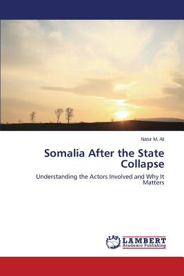 Somalia After the State Collapse