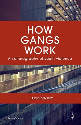 How Gangs Work: An Ethnography of Youth Violence