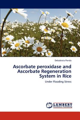 Ascorbate Peroxidase and Ascorbate Regeneration System in Rice